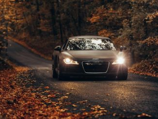 coche otoño